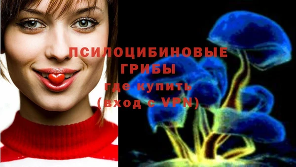 бутират Балабаново