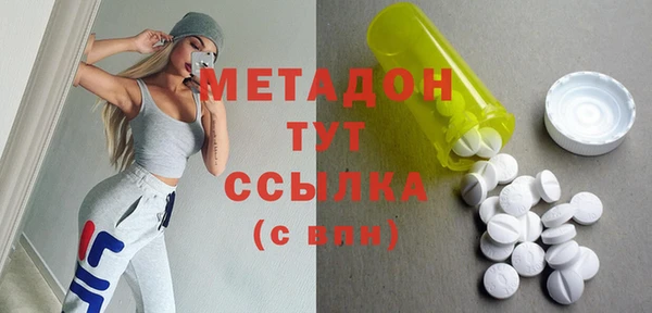 прущие грибы Беломорск