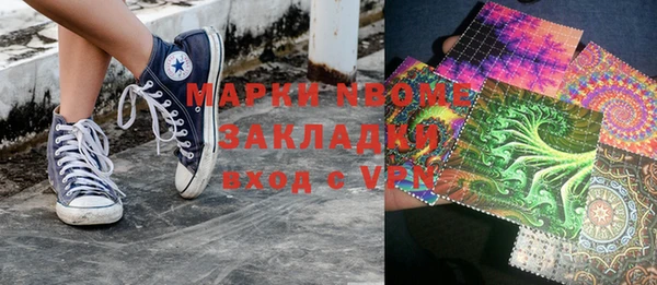 индика Баксан