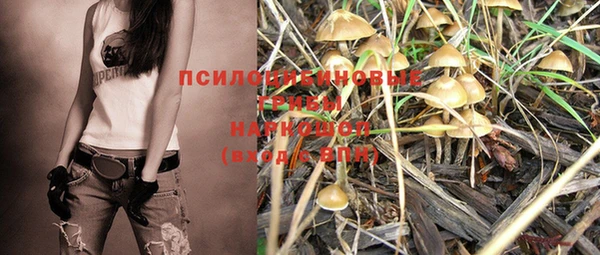 ешки Балахна