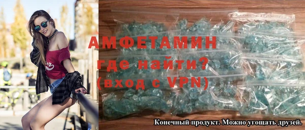прущие грибы Беломорск