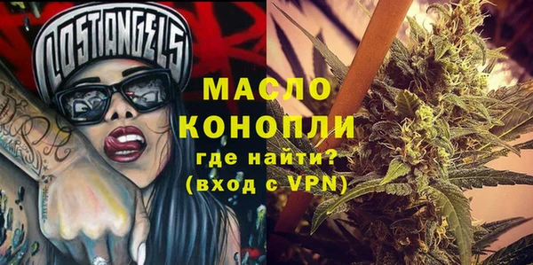 индика Баксан