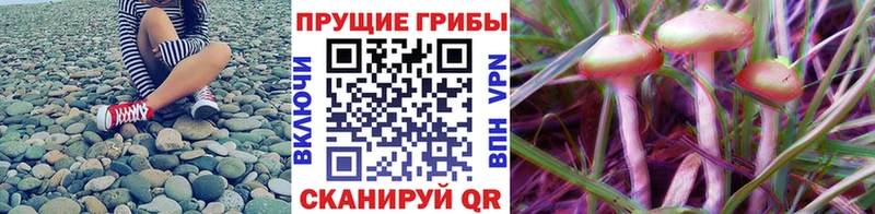 Галлюциногенные грибы мухоморы купить закладку Гороховец